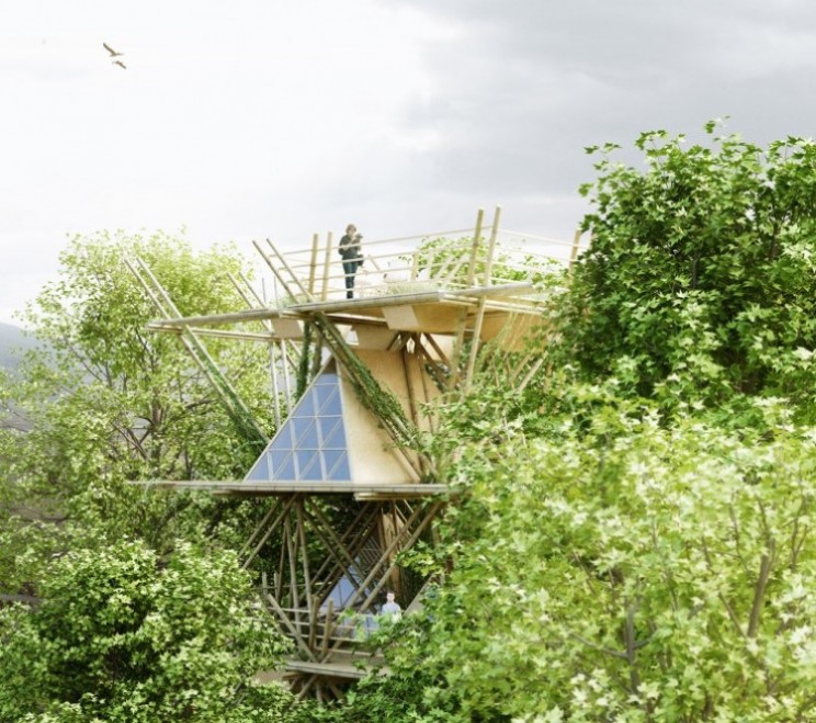 Eco-hotel bamboo tree house concept offers visitors a bird’s eye view