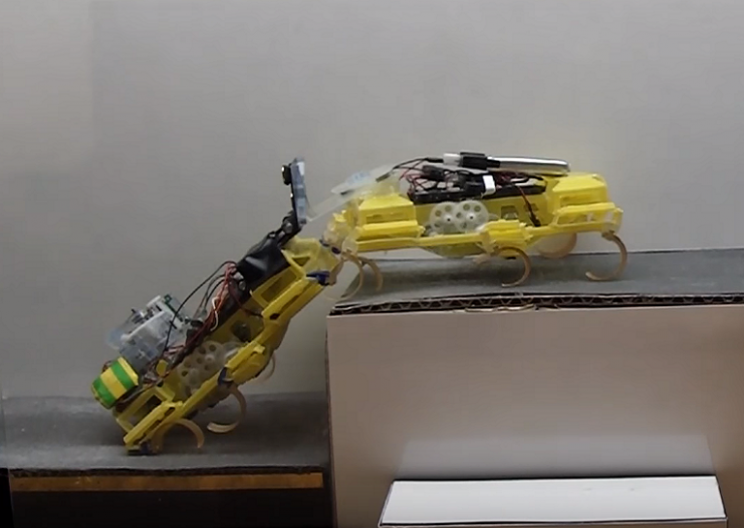 Cooperative Robots Scale Walls Like Ants