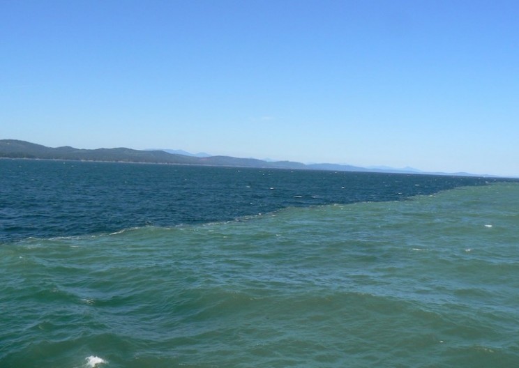 This New Technology Generates Electricity When Fresh Water Meets Saltwater