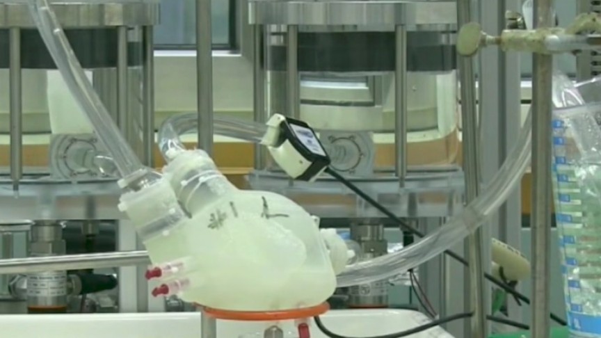 3D Printed Silicone Heart : Scientists create a 3D-printed, full-sized ...