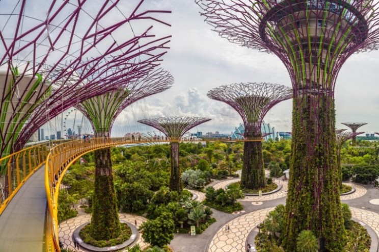 'Gardens by the Bay' in Singapore is Jaw Dropping