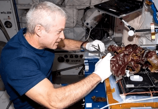 International Space Station Can Now Grow Edible Vegetables