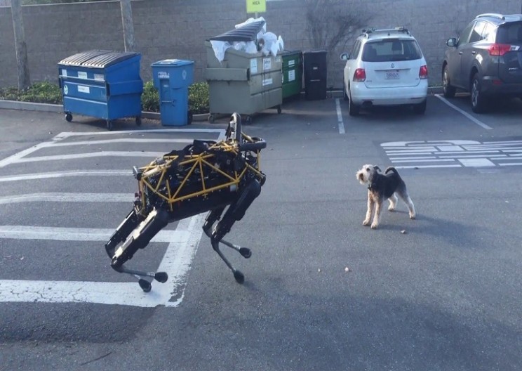 Clash of the dogs - Spot the robot dog vs Fido the real dog