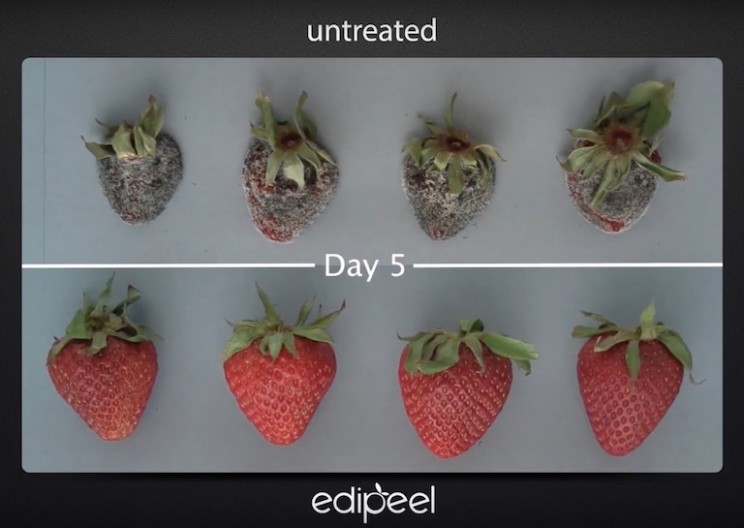 Fruits and Vegetables Coated with this Edible Peel Last Five Times Longer