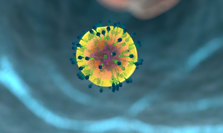 New Perspective for Immune System "Enhancement"