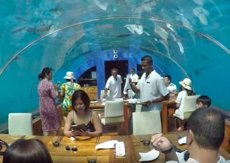 10 Incredible Underwater Attractions Across the Globe