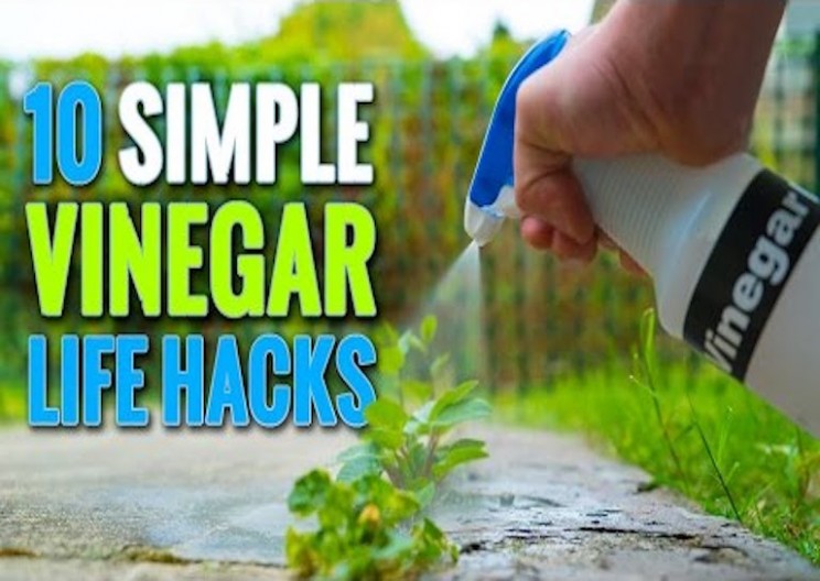 10 Most Useful Vinegar Hacks for Around the House