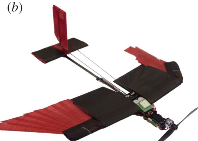 This Morphing Drone Takes Flights Inspired by Nature