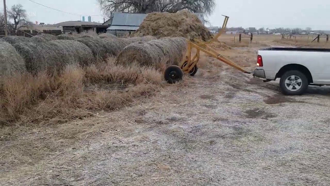 This Genius Trailer Takes the Work out of Moving Hay Bales