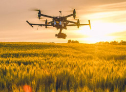AgriTech: 3+ Ways We Plan to Feed the Future