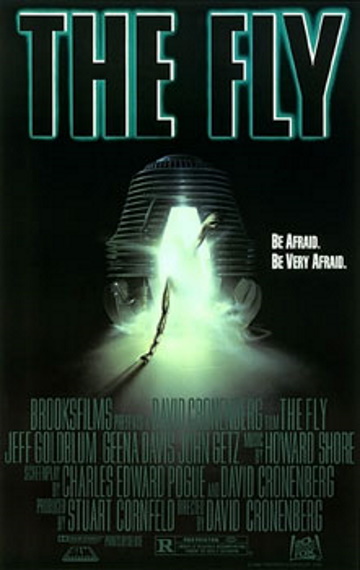The Fly The Fly