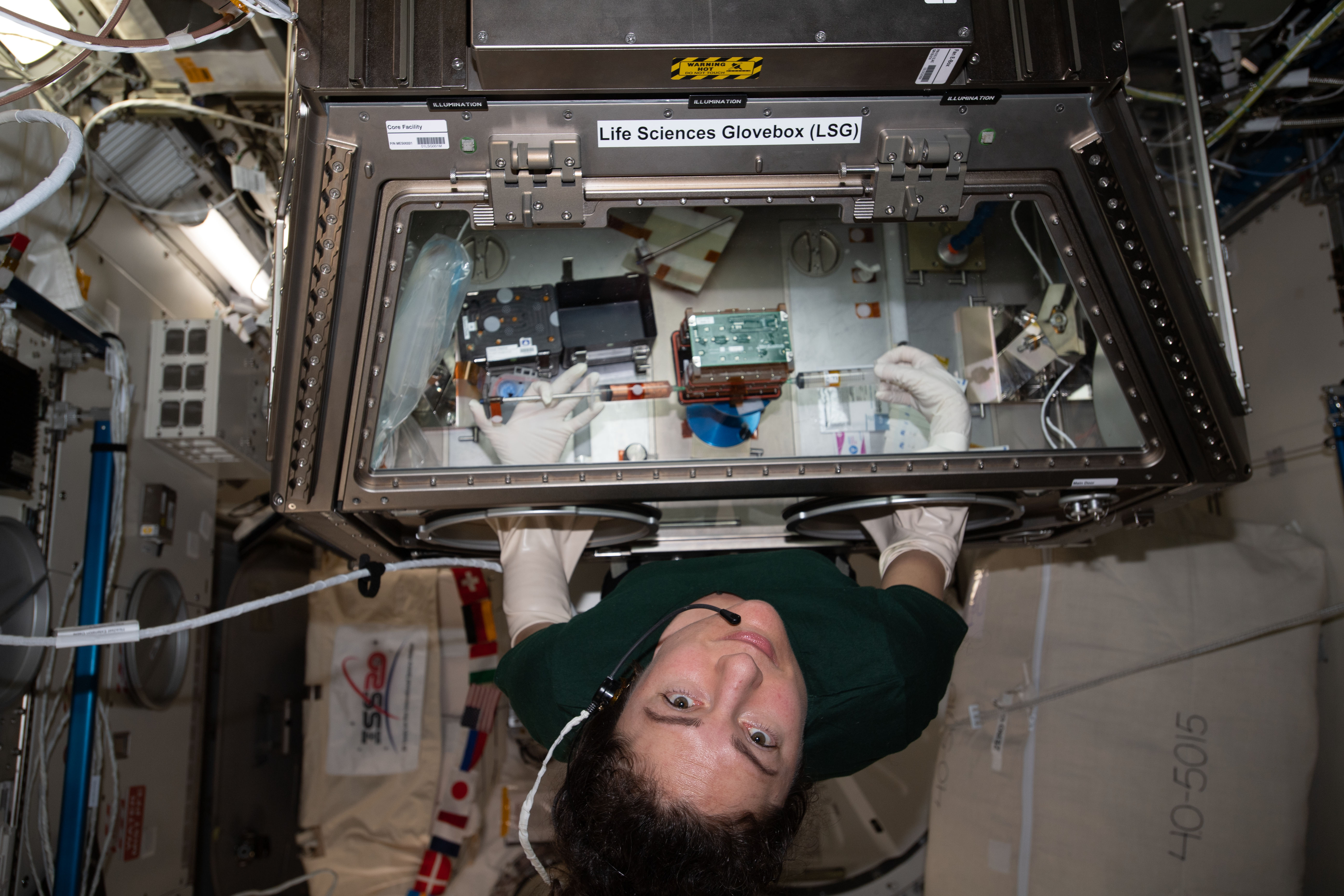 3D Printing and Biology Researches from the ISS Back on Earth via SpaceX's Dragon Spacecraft 3D Printing and Biology Researches from the ISS Back on Earth via SpaceX's Dragon Spacecraft
