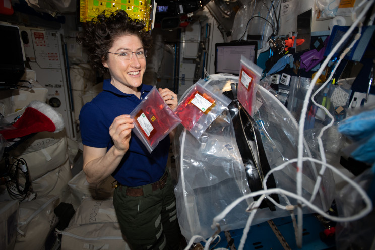 3D Printing and Biology Researches from the ISS Back on Earth via SpaceX's Dragon Spacecraft 3D Printing and Biology Researches from the ISS Back on Earth via SpaceX's Dragon Spacecraft