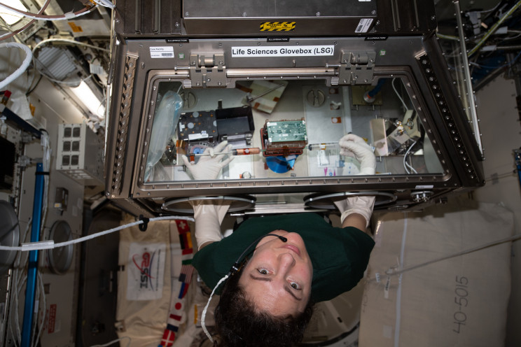 3D Printing and Biology Researches from the ISS Back on Earth via SpaceX's Dragon Spacecraft 3D Printing and Biology Researches from the ISS Back on Earth via SpaceX's Dragon Spacecraft