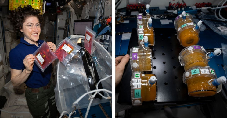 3D Printing and Biology Researches from the ISS Back on Earth via SpaceX's Dragon Spacecraft