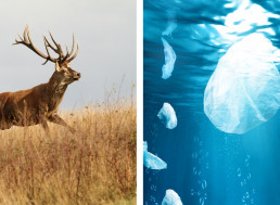 5 of the Most Stunning yet Heartbreaking Adverts That Will Move You