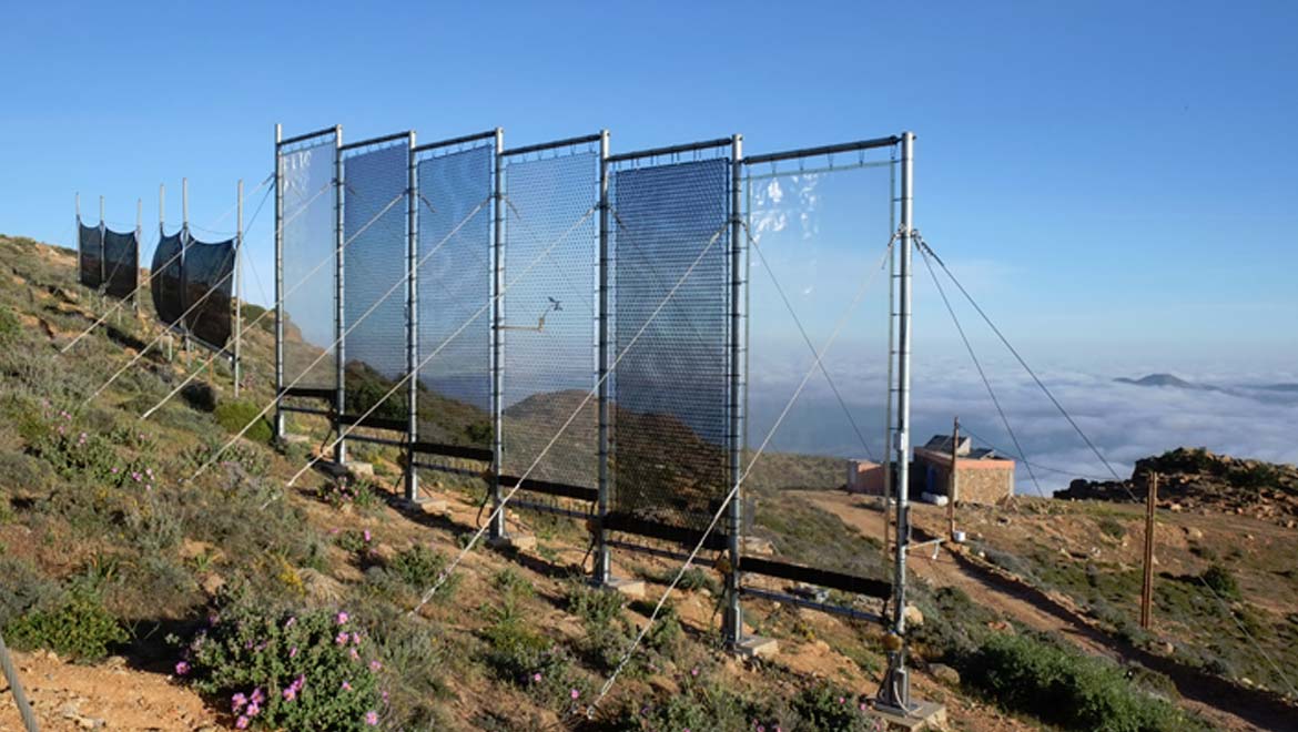 21 Sustainability Innovations That Might Just Change the World 21 Sustainability Innovations That Might Just Change the World