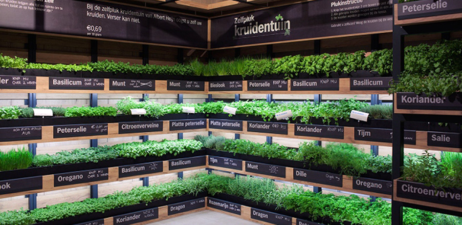 21 Sustainability Innovations That Might Just Change the World 21 Sustainability Innovations That Might Just Change the World