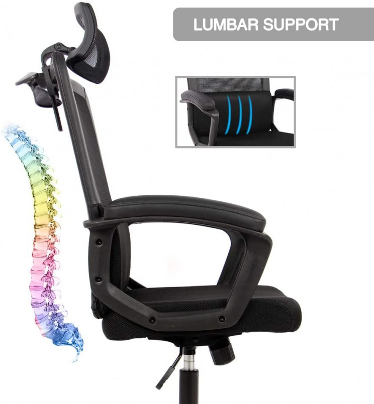 Lumbar Support Chair