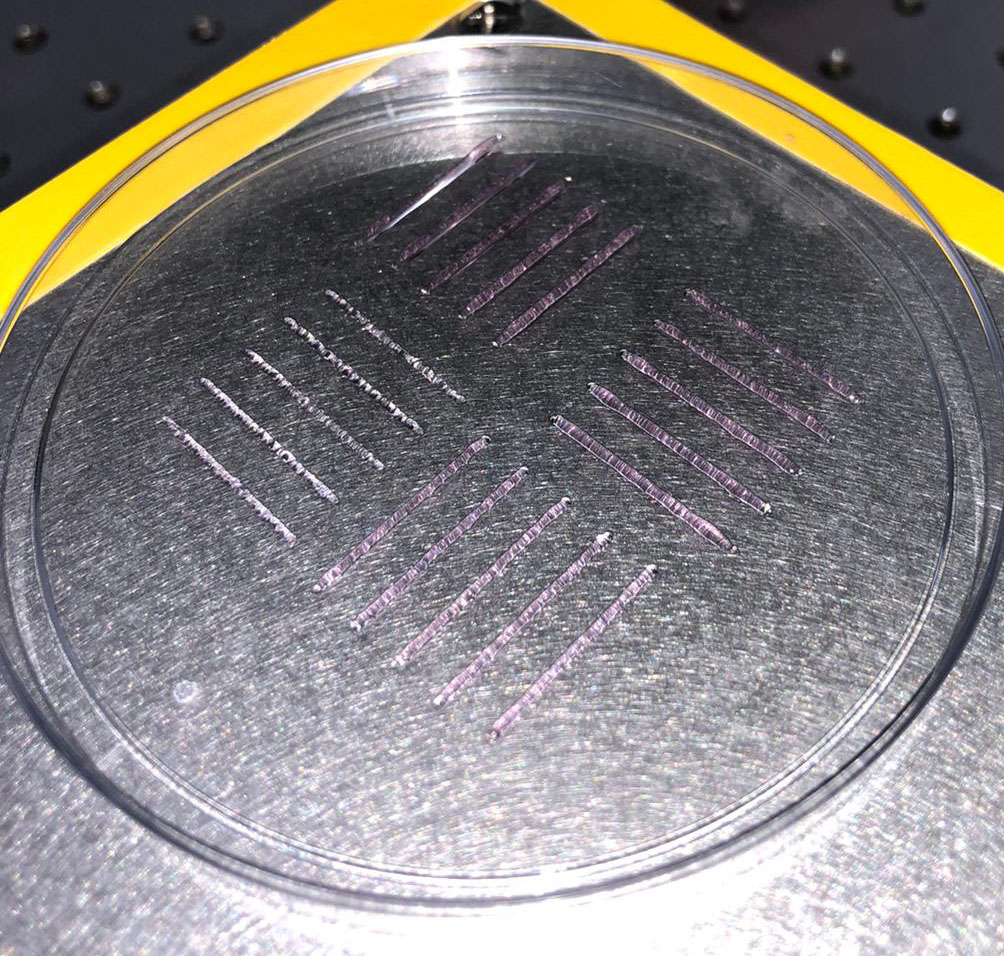 Israeli Startup 3D Prints Juicy Steaks by Using Cellular 'Ink' Israeli Startup 3D Prints Juicy Steaks by Using Cellular 'Ink'