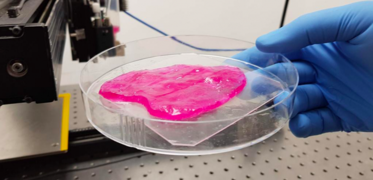 Israeli Startup 3D Prints Juicy Steaks by Using Cellular 'Ink' Israeli Startup 3D Prints Juicy Steaks by Using Cellular 'Ink'
