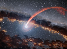 Black Holes Devouring Stars May Shed Light about the Phenomenon for Researchers