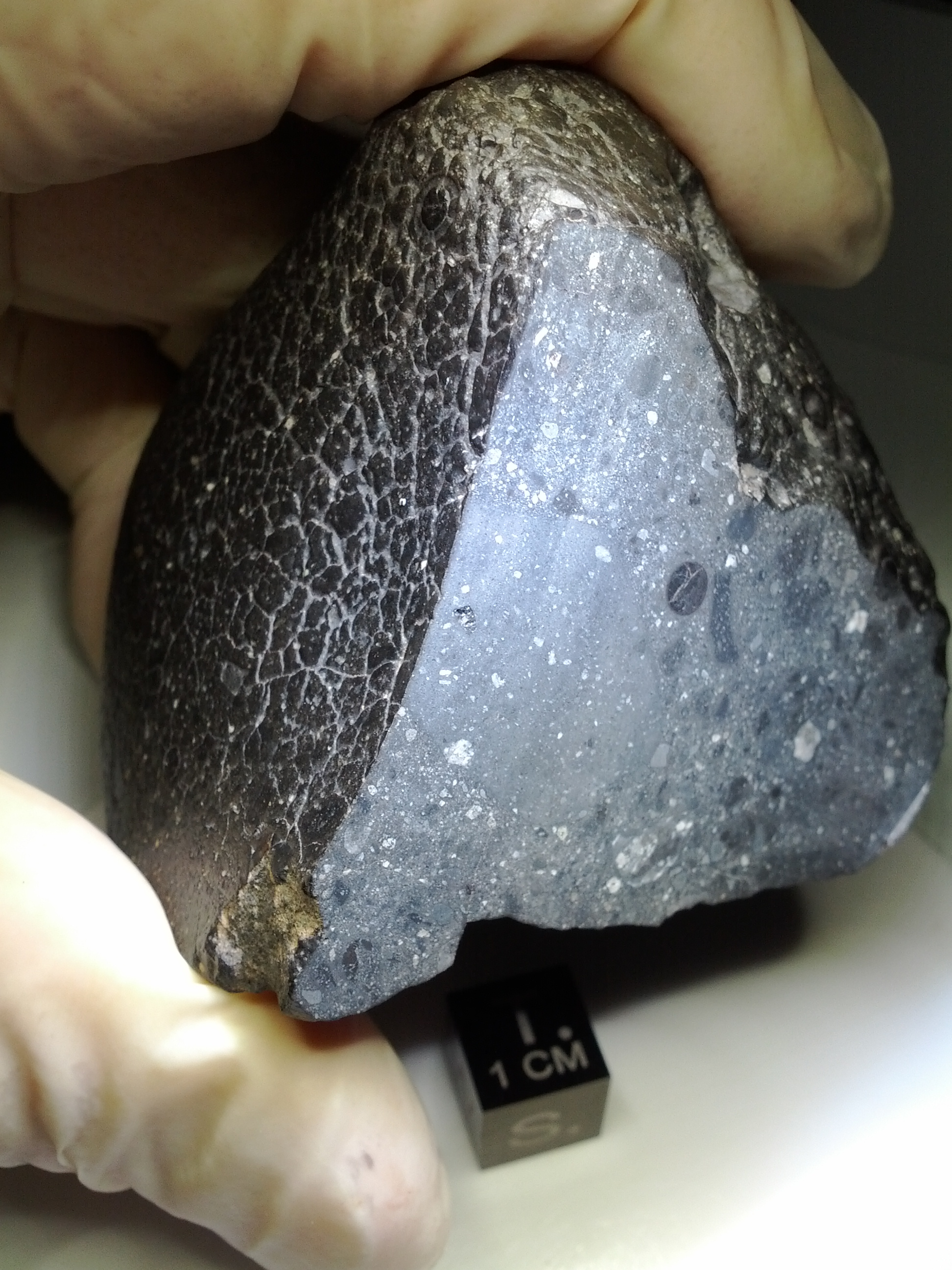 Martian meteorite Black Beauty landed on Earth after exploding from a strange crater Martian meteorite Black Beauty landed on Earth after exploding from a strange crater