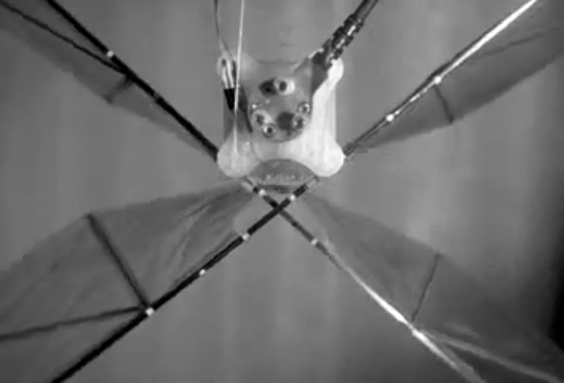 Engineers Design Flapping Wing Drone That Can Glide and Hover Engineers Design Flapping Wing Drone That Can Glide and Hover