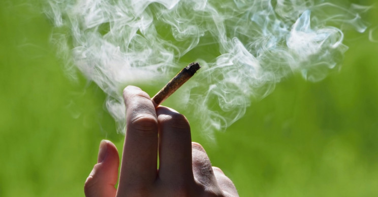 Researchers Are Able to Reverse Harmful Effects of Being Exposed to THC in the Womb