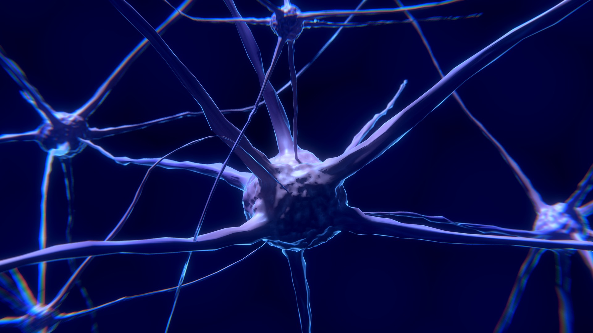 How Our Brains Create Timelines of the Past How Our Brains Create Timelines of the Past
