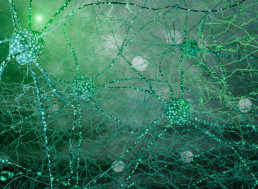 Scientists Pinpoint the Underlying Causes of Autism, Epilepsy, and Schizophrenia