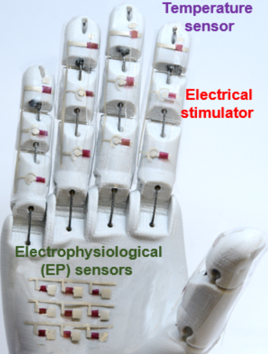 Rubbery Semiconductor Could Allow Doctors to Practice Remotely Rubbery Semiconductor Could Allow Doctors to Practice Remotely