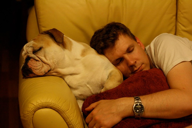what happens when we sleep