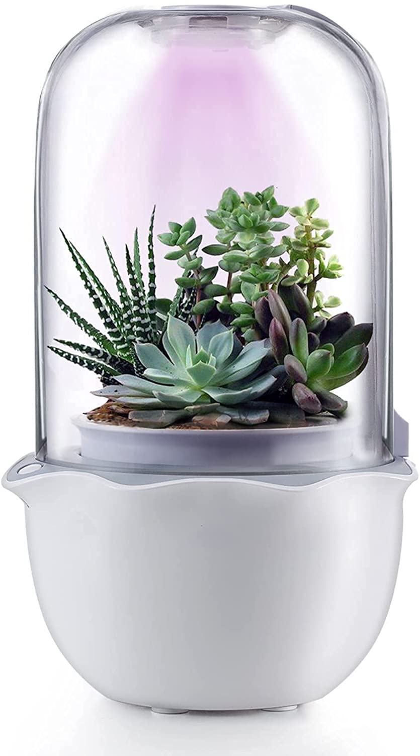 7 Eco-Friendly Gadgets to Take Care of the Environment 7 Eco-Friendly Gadgets to Take Care of the Environment
