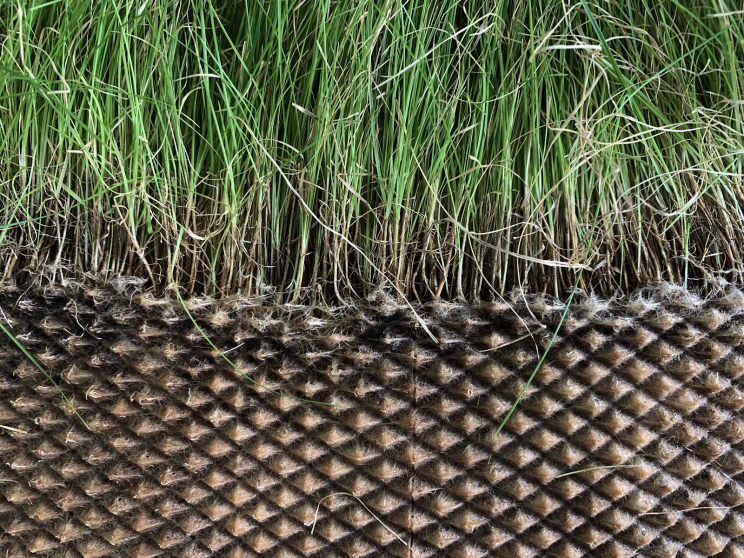 This Designer Came Up With a Self-Watering, No-Soil Planter This Designer Came Up With a Self-Watering, No-Soil Planter