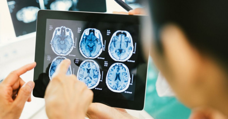 The Brain Can Detect Touch through Tools, Confirms New Research