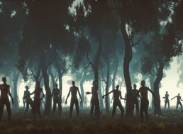 Have You Ever Been Zombified?