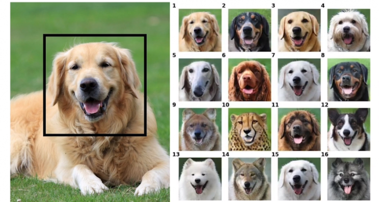 GANimal App Nvidia's GANs app