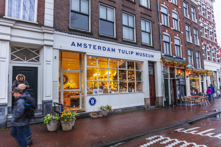 Amsterdam tulip museum