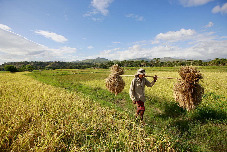 invasive species crops