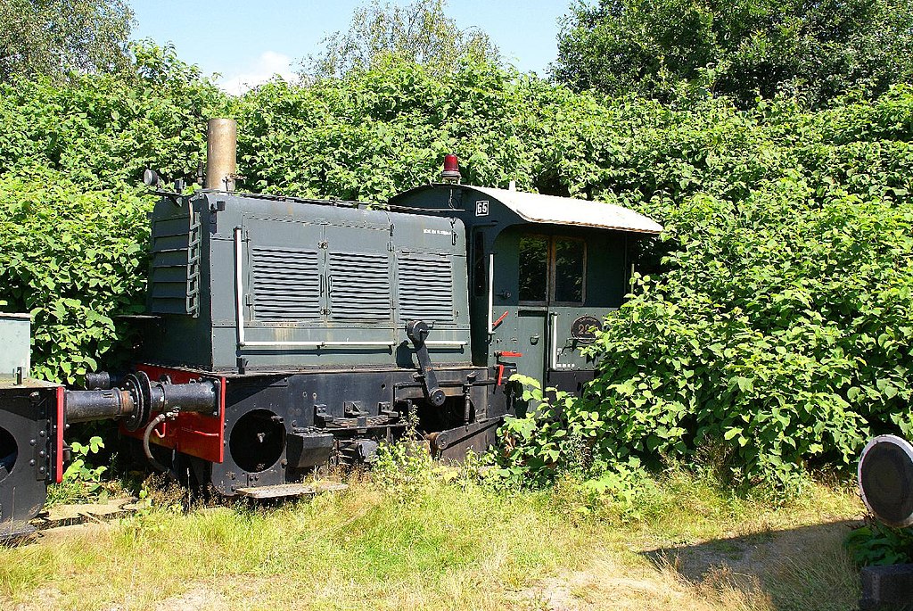 worst invasive species japanese knotweed