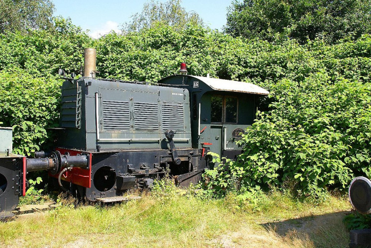 worst invasive species japanese knotweed