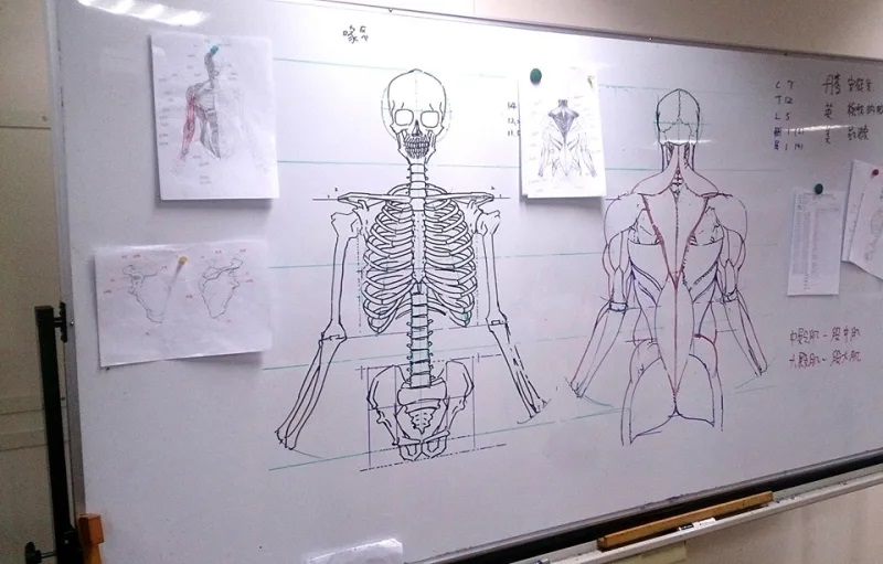 This Taiwanese Lecturer Draws Stunning Anatomical Drawings on the Chalkboard This Taiwanese Lecturer Draws Stunning Anatomical Drawings on the Chalkboard