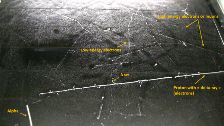 Cosmic ray tracks in a cloud chamber Cosmic ray tracks in a cloud chamber
