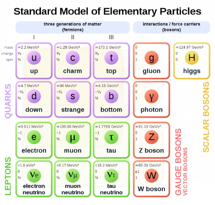 Standard Model Standard Model