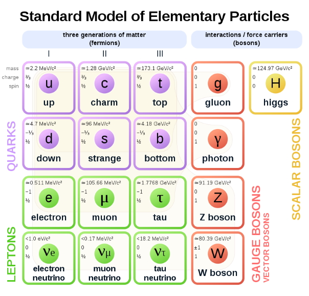 Standard Model Standard Model