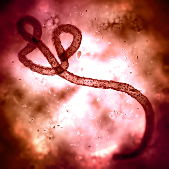 Comparing the Wuhan Coronavirus to 6 Other Deadly Outbreaks Comparing the Wuhan Coronavirus to 6 Other Deadly Outbreaks