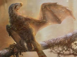 Scientists Discover Second Bat-like Dinosaur in China