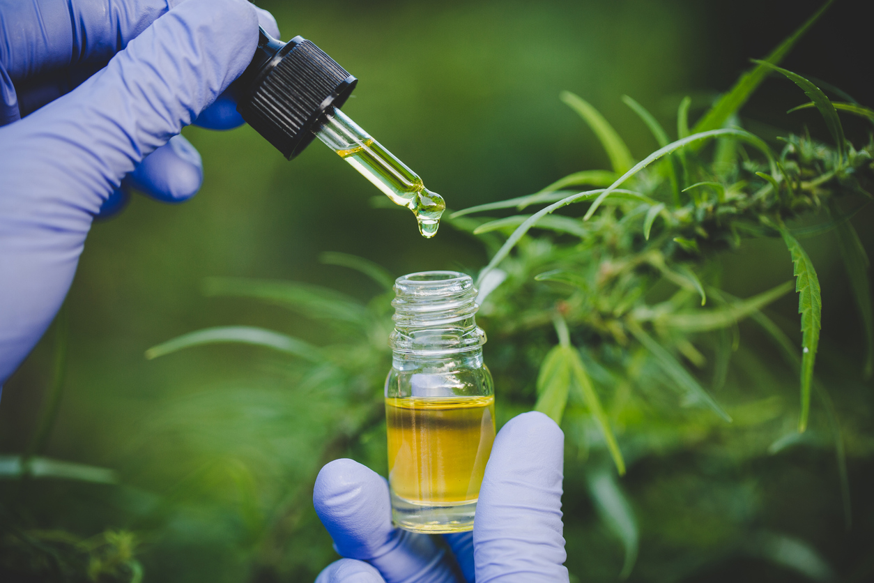 Cannabis Might Block COVID-19 Infection, Study Shows Cannabis Might Block COVID-19 Infection, Study Shows