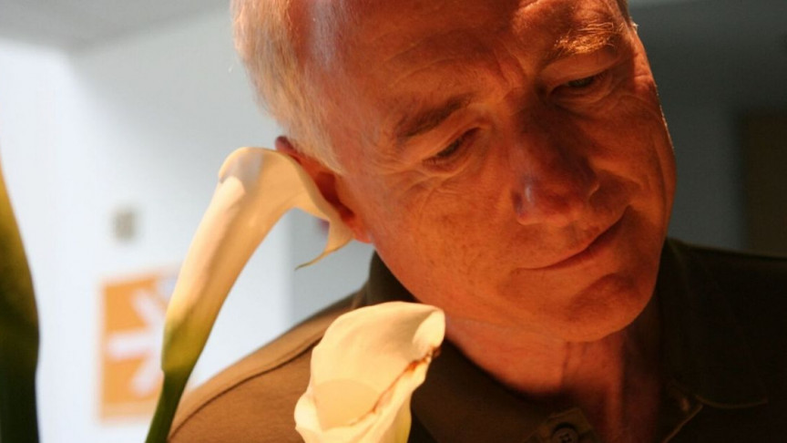 Visionary Computer Scientist Coined Cut, Copy, and Paste — Has Died - Interesting Engineering